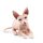Folkmanis Sphinx Katze
