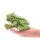Folkmanis Mini Frosch