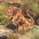 Folkmanis Kragenechse