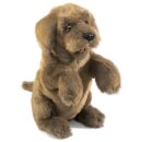 Folkmanis Hund sitzend