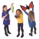 Folkmanis Metamorphose Schnetterling