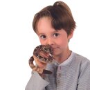 Folkmanis Mini Klapperschlange